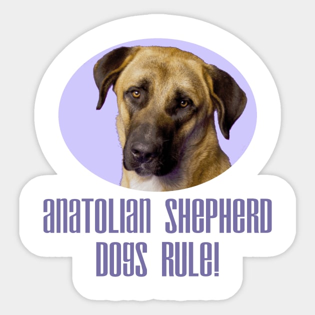 Anatolian Shepherd Dogs Rule! Sticker by Naves